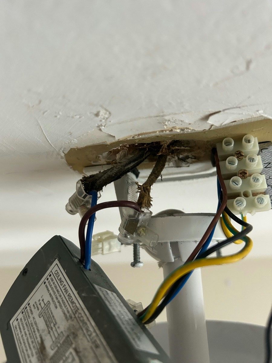 A ceiling fan canopy dropped to show the terminal block with the earth conductor visible