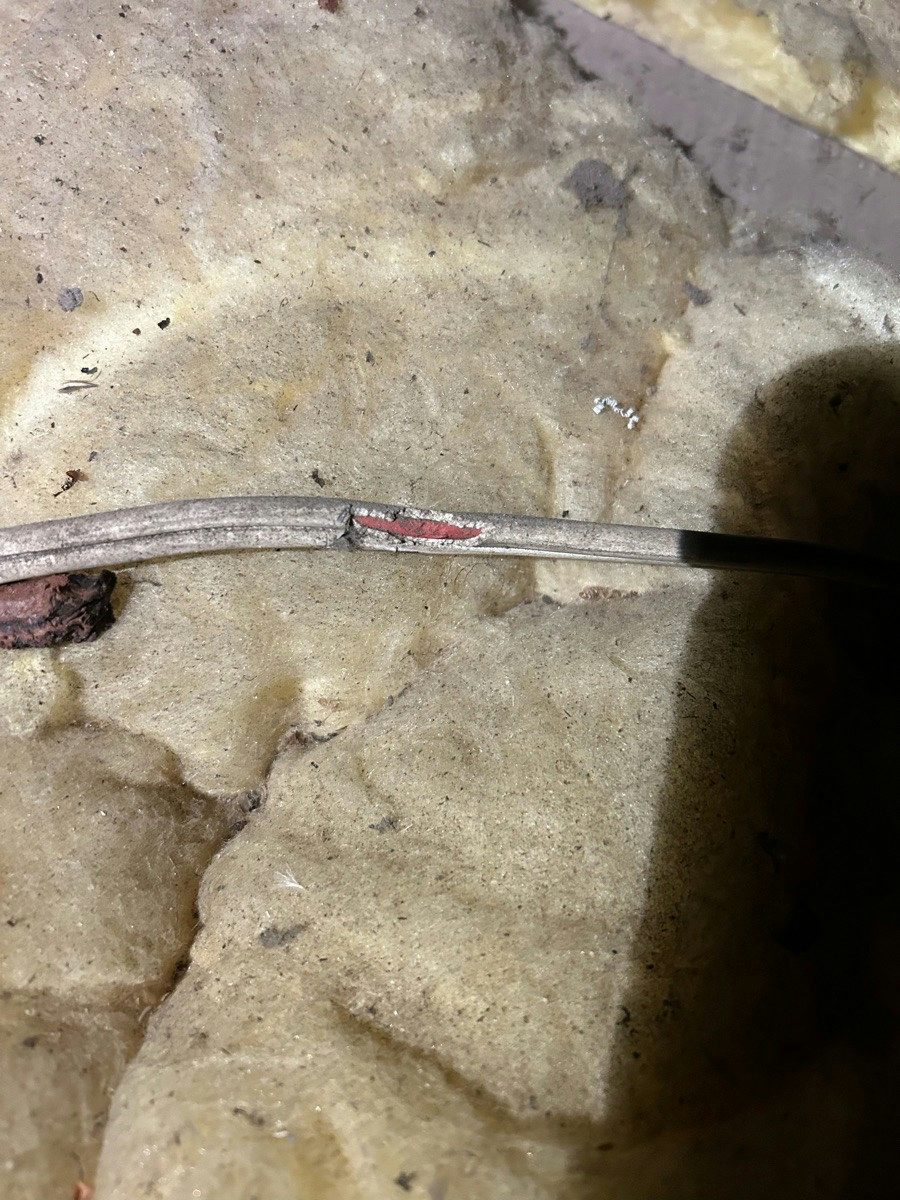 Cable lying on ceiling insulation with the outer sheath split open and the conductor exposed