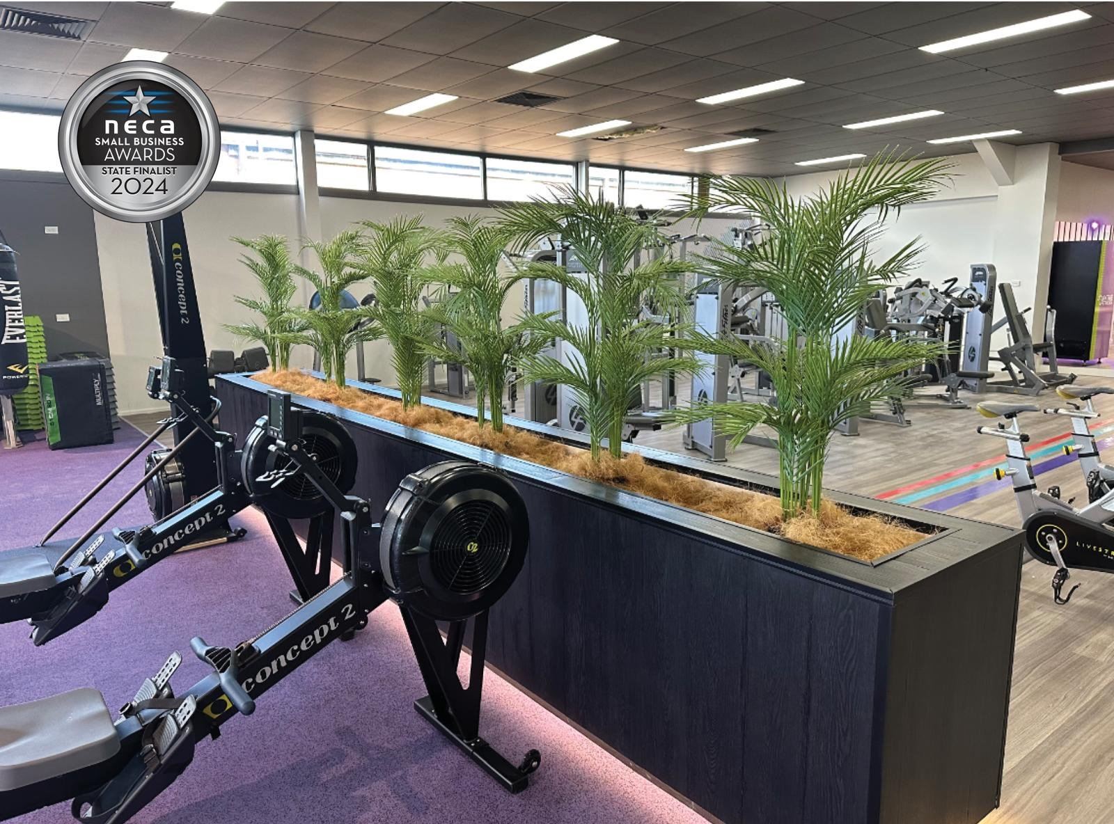 LED lighting along a planter wall in a gym fit-out